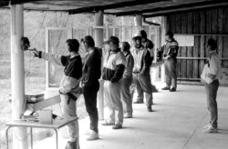 Klikk for st�rre versjon... (94-251.jpg)
